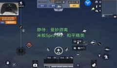 和平精英怎么搞物品显示挂（和平精英挂件获取途径）