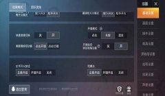 和平精英开启技能辅助怎么设置（如何优化和平精英辅助触控设置）