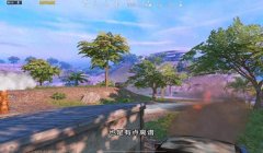 和平精英准星辅助器怎么下载使用（和平精英辅助器的用户评价）