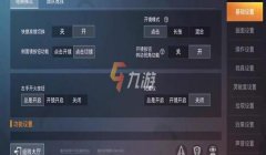 和平精英团战进场辅助怎么设置（和平精英辅助设置实战应用）
