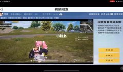 和平精英怎么去巡查开挂的人（巡查员的作用）