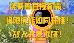 和平精英怎么开挂超级简单（和平精英开挂被捕现行的概率）