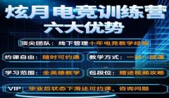 和平精英挂主页的皮肤怎么设置（和平精英皮肤效果详解）