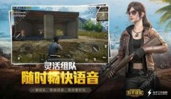 和平精英凉鹤辅助怎么下载（和平精英凉鹤辅助官网地址）