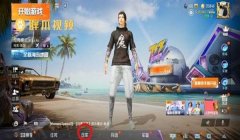 和平精英怎么挂对联游戏（和平精英对联寓意解析）