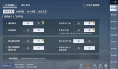 和平精英北极熊直装挂怎么用（北极熊直装挂搭配攻略）