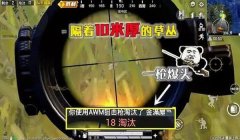 和平精英怎么开不掉血的挂（和平精英不掉血挂的检测机制）