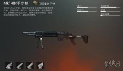 和平精英不能挂枪吗怎么设置（和平精英枪口撞墙提示的作用）