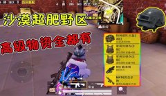 和平精英打野辅助怎么打（和平精英打野辅助节奏感培养）