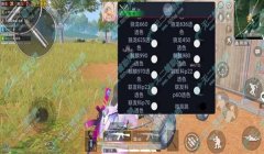 和平精英开挂卡密怎么激活（和平精英开挂卡密的后果）