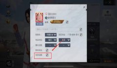 和平精英官方怎么认定开挂的（如何举报和平精英开挂）