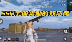 和平精英小姐姐玩辅助怎么玩（和平精英辅助技巧分享）