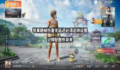 苹果辅助访问和平精英怎么设置（辅助访问和平精英的优化技巧）