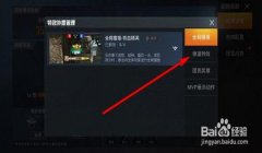和平精英冲浪团队辅助怎么设置（和平精英冲浪团队辅助的市场分析）