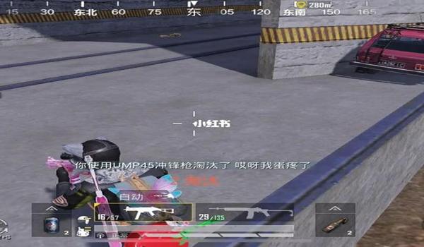和平精英主页挂人机怎么弄（和平精英挂机技巧分享）