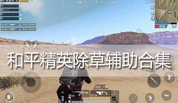 kk和平精英辅助怎么样（和平精英辅助的法律风险）
