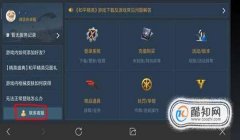 和平精英怎么设置带挂（和平精英挂件的具体分类）