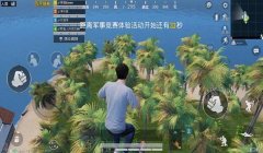 和平精英冲浪团队辅助怎么用（和平精英冲浪团队辅助的使用方法）