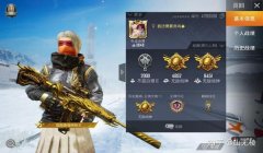和平精英开挂伤队友怎么办（和平精英开挂举报流程详解）