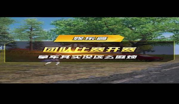 和平精英开挂的声音怎么弄（和平精英开黑时的团队音效设置）