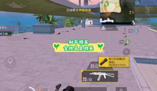 和平精英怎么加辅助瞄准镜（和平精英辅助瞄准镜的实战效果）