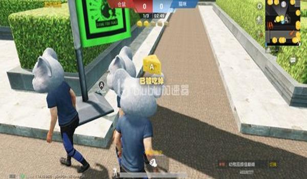 和平精英怎么挂猫（《和平精英》家园怎么养猫）