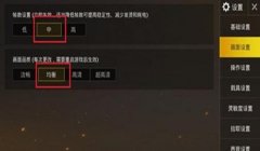 和平精英怎么肩射辅助（和平精英肩射辅助设置）
