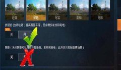 和平精英打开设置怎么才能开挂（和平精英优化设置提升性能）