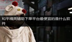 和平精英上色辅助怎么开（和平精英上色辅助的兼容性）