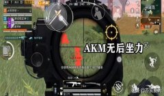 和平精英开挂代码怎么用（和平精英挂机代码的原理）