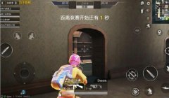 和平精英怎么挂ip（和平精英挂IP的风险）