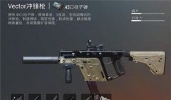 和平精英怎么挂武器教程（和平精英武器配件搭配指南）