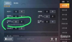 和平精英怎么打开辅助瞄准按键（和平精英辅助瞄准优化方案）