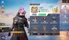 和平精英挂多怎么玩（和平精英挂机多怎么玩）