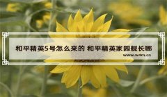 和平精英家园挂墙花盆怎么挂（和平精英外挂怎么搞 和平精英外挂方法）