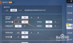 和平精英开镜辅助怎么关（和平精英开镜辅助关闭后果）