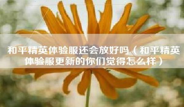 和平精英小金鱼辅助怎么用（如何优化和平精英小金鱼辅助的使用体验）