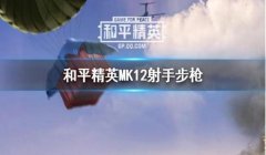 和平精英怎么辅助射手（和平精英辅助射手实战技巧）