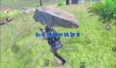 和平精英怎么开雷挂（和平精英雷挂技巧实战应用）