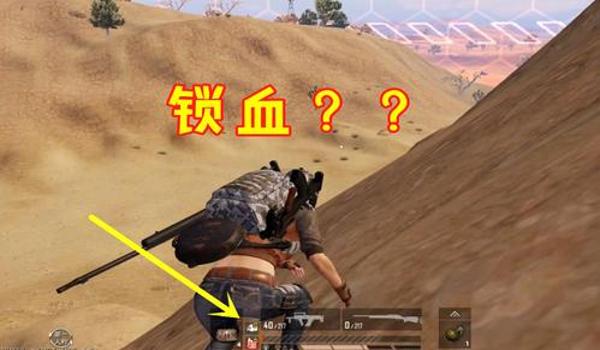 和平精英挂窗帘怎么挂的（和平精英窗帘搭配技巧）