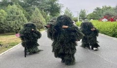 和平精英怎么用隐身挂（和平精英隐身挂的原理是什么？）