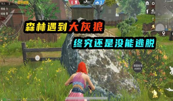 和平精英小红帽怎么开挂（和平精英小红帽模式介绍）