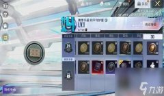 和平精英国际辅助怎么用（和平精英国际辅助的安全风险）
