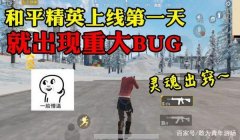 和平精英子弹跟踪挂怎么设置（和平精英社区对外挂的看法）