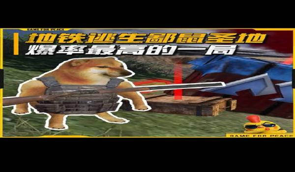 和平精英全部玩家开挂会怎么样（和平精英开挂行为的法律后果）
