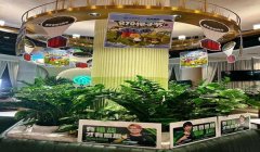 和平精英怎么鉴挂（和平精英怎么查外挂）