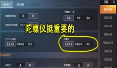 和平精英开挂视图怎么设置（如何自定义和平精英画面设置）