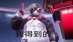 和平精英fpp挂逼怎么越来越多了（和平精英挂逼举报流程）