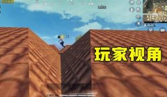 和平精英开挂雷区惩罚怎么设置（和平精英雷区惩罚升级）