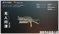 和平精英怎么开挂穿墙子弹（和平精英穿墙子弹的原理）